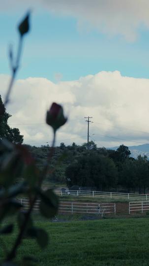 The Mafia's Innocent Lover Episode 8