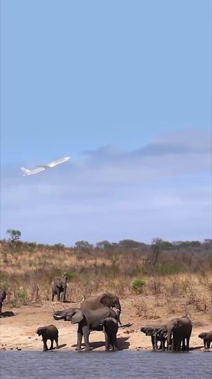 조심해! 내가 레이디 보스야 제1회