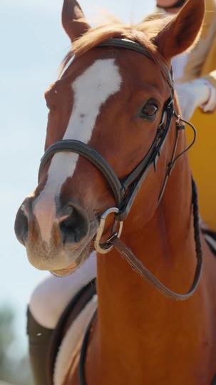 The Sorority Hazed The Wrong Girl  Episode 1