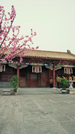 Crowned by Her Own Illusion Episode 8