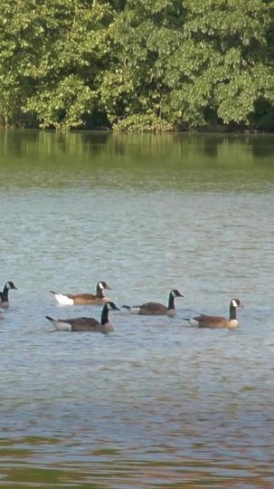 My Very Royal Romance Episode 4