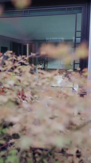 隱世龍婿 第1集