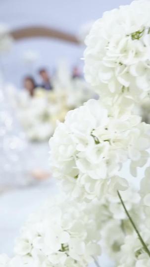 My CEO, My Last-Minute Groom Episode 2