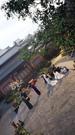 剧集数 23