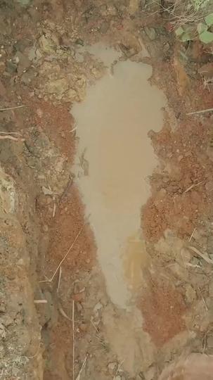 A Leap Through Time: Thriving in the '90s Episode 1