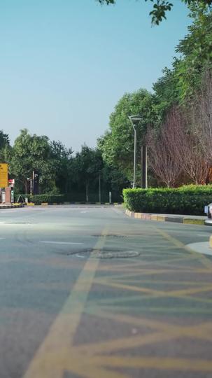 女主她一心只想搞事业 第2集