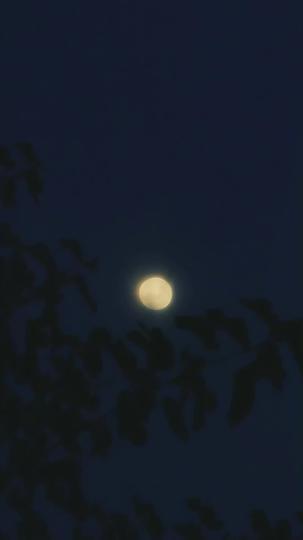 Rise Up, Combat King! Episode 6