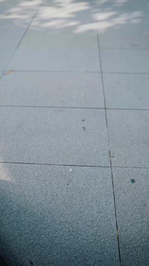 Love Is My Paycheck (DUBBED) Episode 1