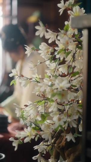 Crowned in Deceit Episode 6