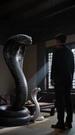 The Serpent Returns: Justice Has Fangs Episode 4
