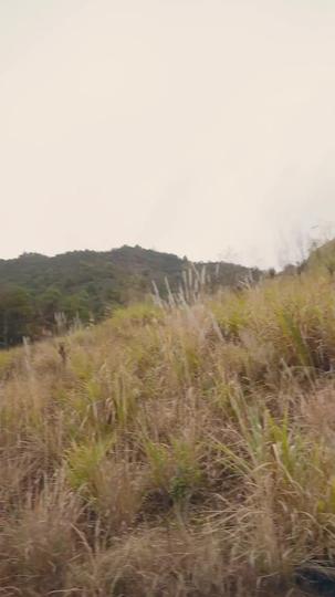 Awakening to Life's New Dawn Episode 9