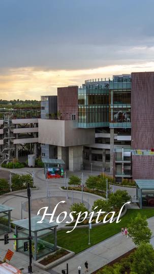 Incinta dei Gemelli dell'Erede Episodio 1