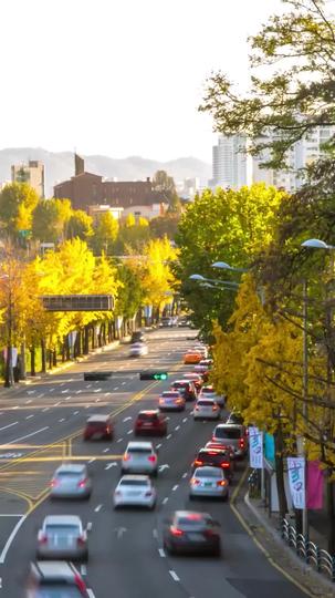 Where Scars Become Patterns Episode 5