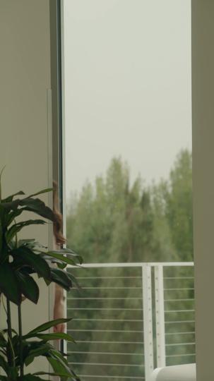 Divorciados en la Boda (Doblado) Episodio 5