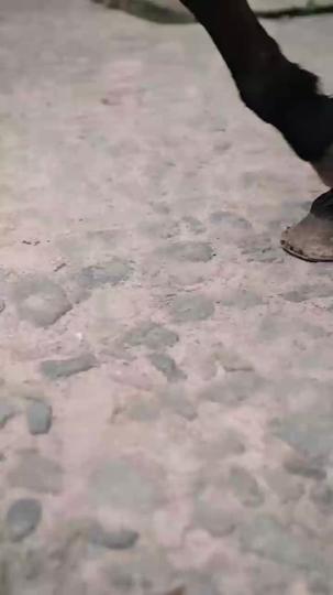 복숭아꽃 필 무렵 제2회