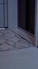 Episodes 19