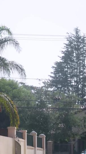 ¡Papá, no te vayas! ¡Salva a mamá! (Doblado) Episodio 1