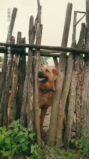 Reborn to the '80s: Turning Over a New Leaf Episode 4