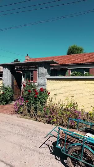 From the Ashes, I Rise Episode 1