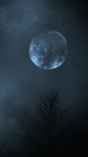 Mated with My Fiance's Alpha Daddy Episode 1