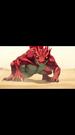Episodes 32