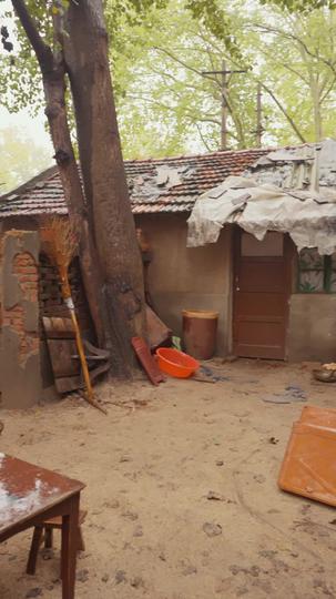 爸妈跑路,福宝带债主发财了 第3集