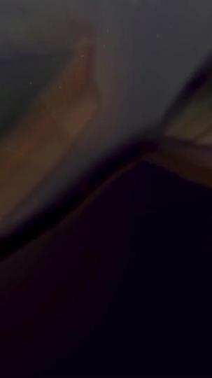 至尊外賣員 第5集