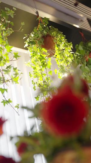 她走时，带走所有晴天 第1集