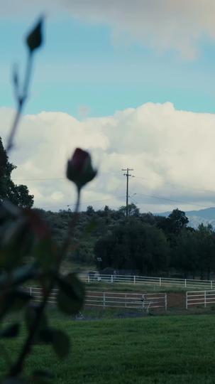 A Amante Inocente do Mafioso 8Episódio