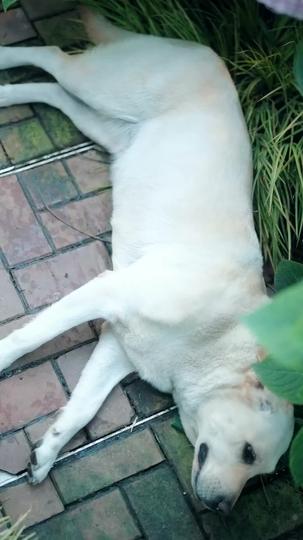 Out of Your Reach, Into Hers Episode 7