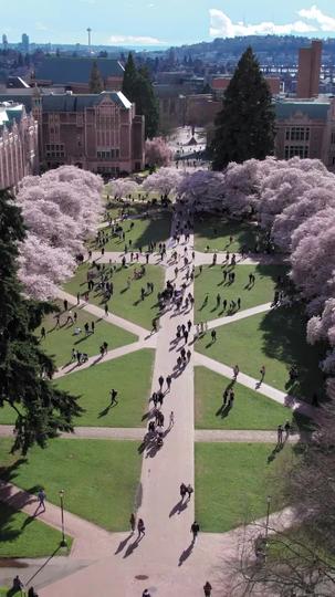 Del odio al amor Episodio 1