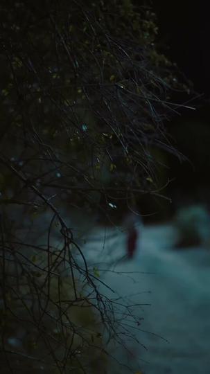 섭정왕의 왕비가 되다 제1회