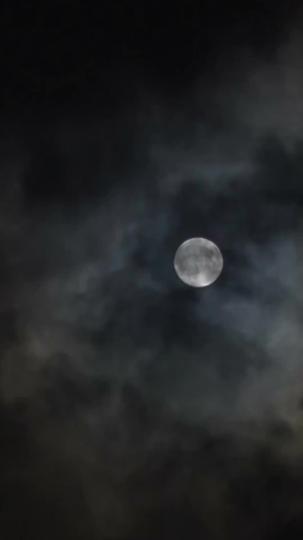 Mini Matchmakers in Action Episode 2