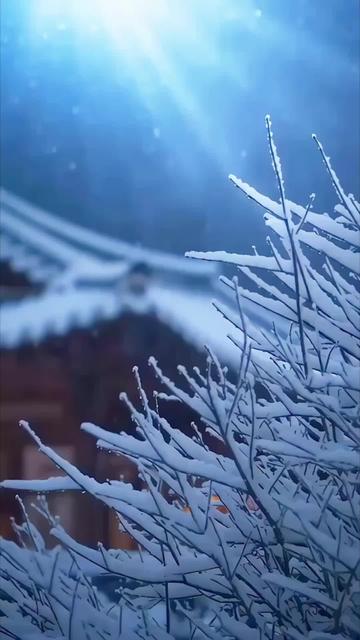 달빛을 대신한 그림자 1화