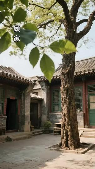 娇野美人内卷八零 第1集