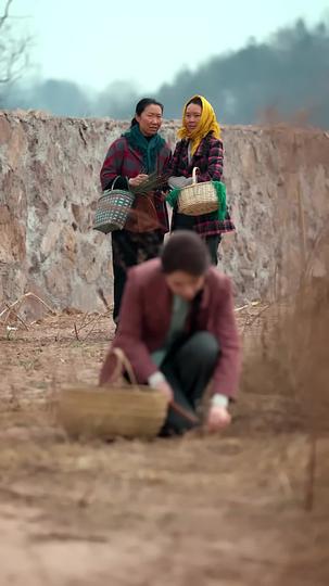 見義勇爲判八年，出獄成大佬 第8集