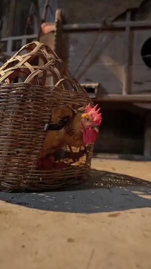 Beyond Blood: The Love That Shapes Us Episode 1