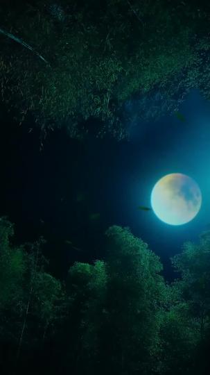 Shadows of Valor Episode 1