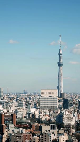 探偵さん私の嘘を暴かないで！ 第 7 話