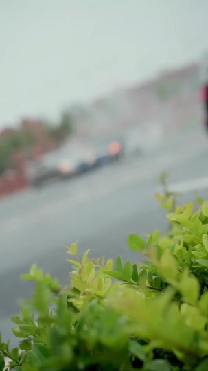 Sorte Divina da Herdeira Descartada 8Episódio