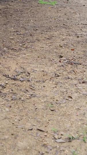 Die schöne Ärztin und ihr General 3Folgen