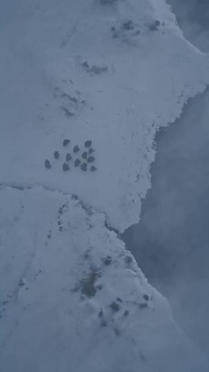 The Blackened Saintess and Her War Dog Episode 6
