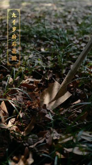 君恨长歌 第4集