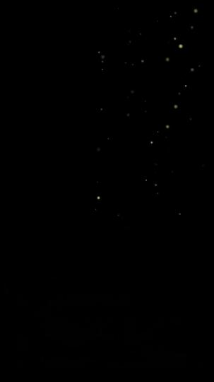 The Vengeful Son-in-Law Episode 11