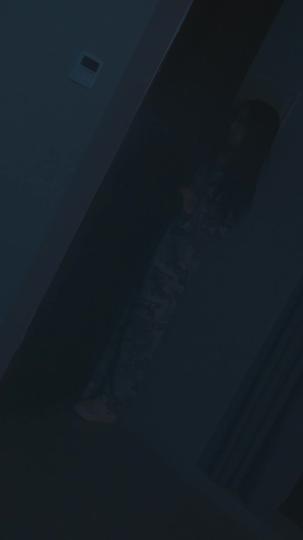 迷雾中的真相 第5集