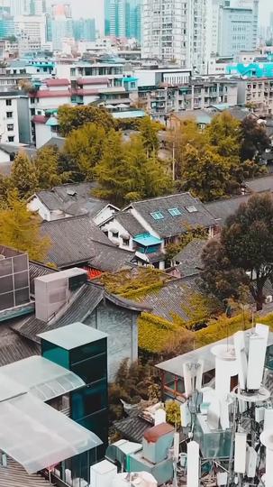 愛，已撤回 第4集