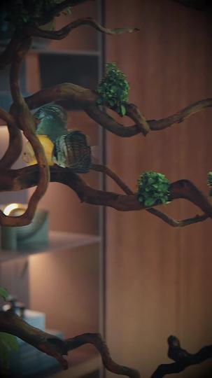 寒舟未晚 第8集