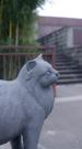 第6集