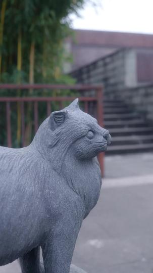 假面婚約 第6集
