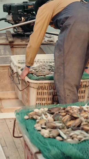 重生趕海，成小漁村大亨 第6集